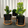 Decorative Trio of Cachepot Vases - CaselyShop